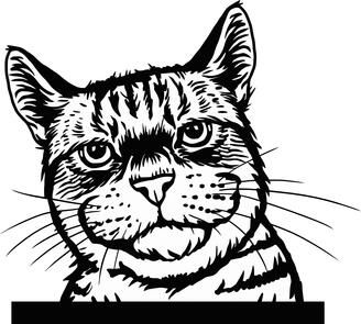 Adorable Peeking Kitty Decal Sticker 2