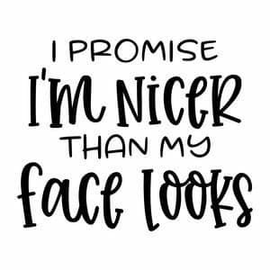 I promise I'm nicer than my face looks sticker