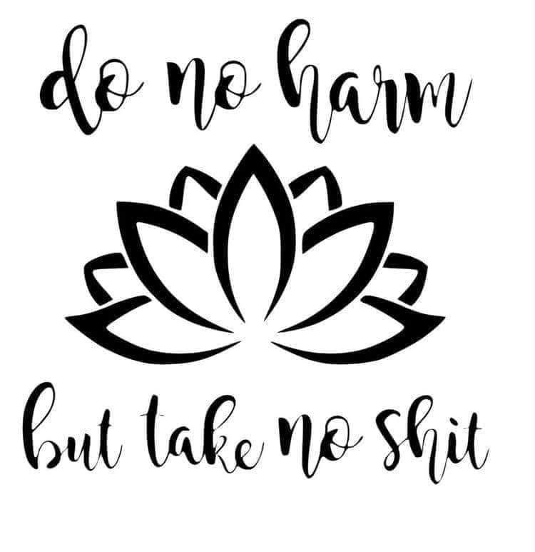 Do no harm, but take no shit Decal Sticker