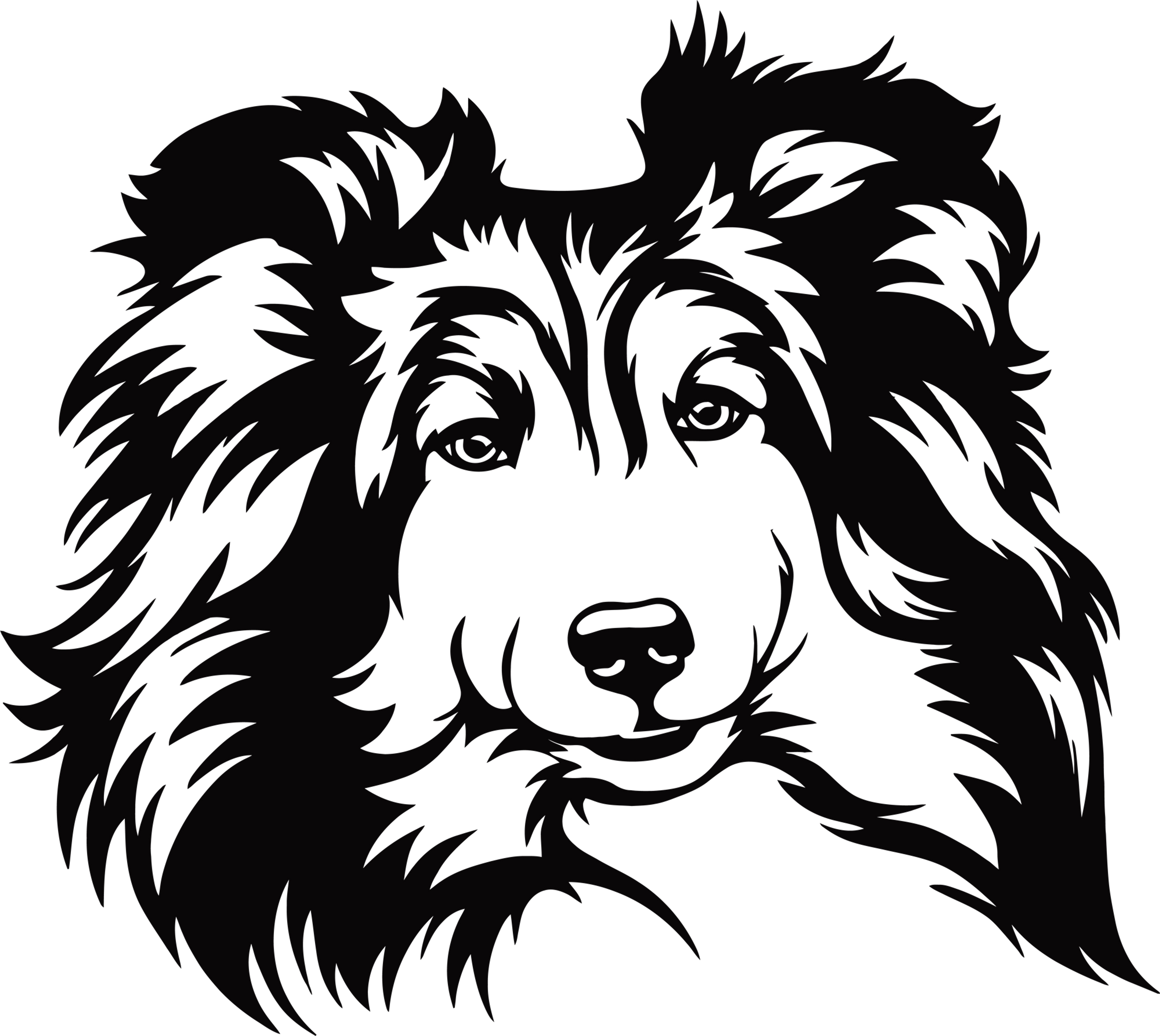 Shetland Sheepdog Decal Sticker 5