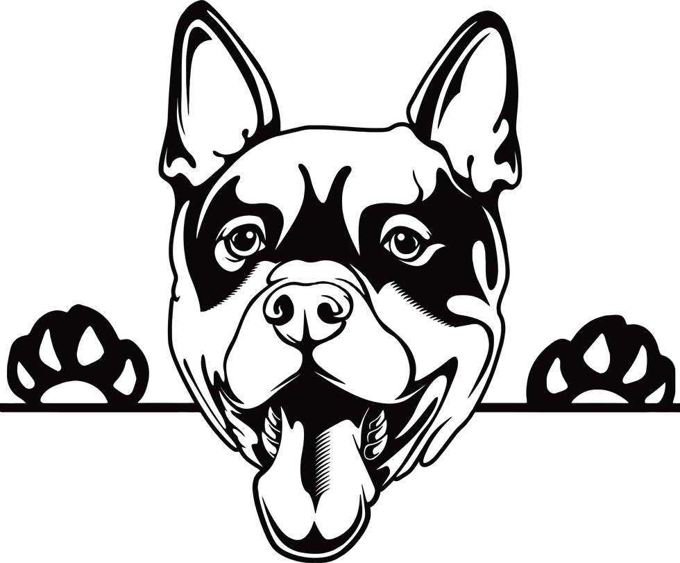 Miniatura: Peeking Thai Ridgeback Decal Sticker 2 (add text)