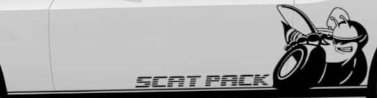 Dodge Challenger SRT Scat Pack Super Bee Side Decal Sticker 59