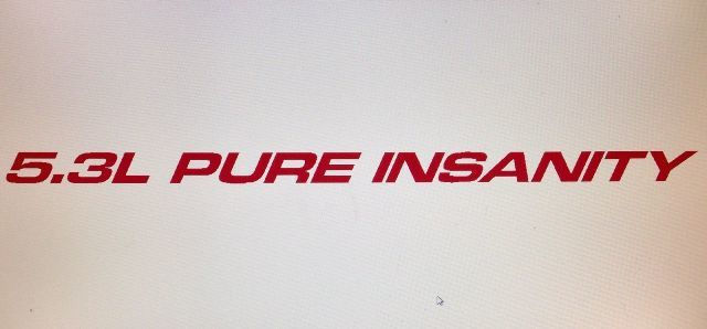 5.3L Pure Insanity Vinyl Decal Sticker 6