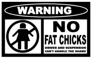 WARNING NO FAT CHICKS Decal Sticker 6