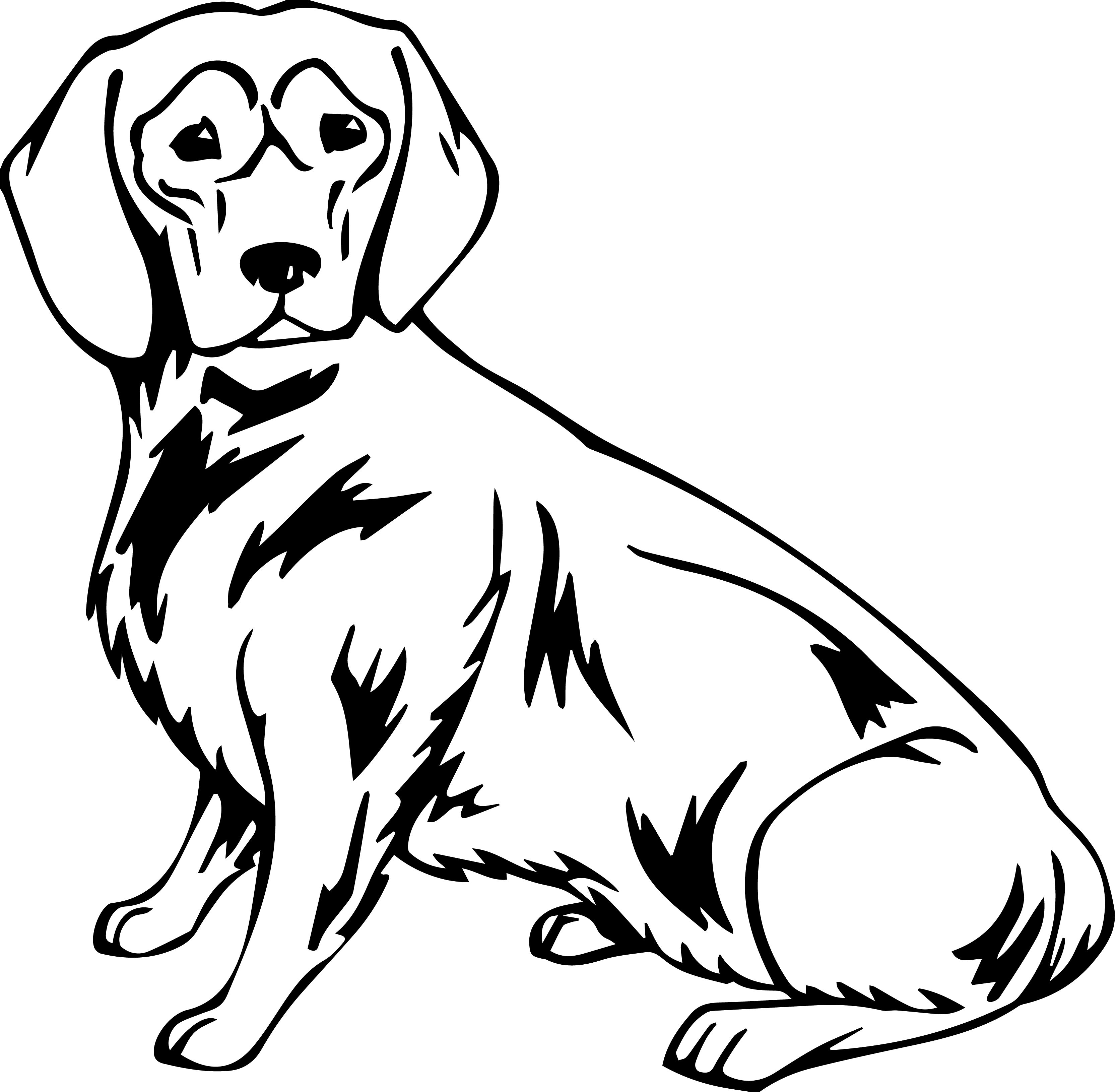 Alpine Dachsbracke Dog Decal Sticker 2 (add text)