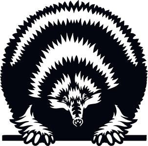 Adorable Peeking Echidna Decal Sticker