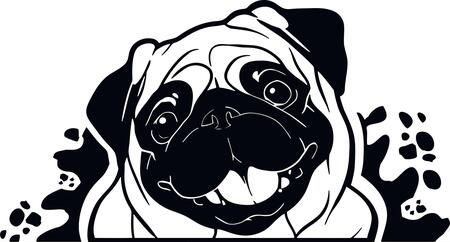 Adorable Pug Splash Decal Sticker
