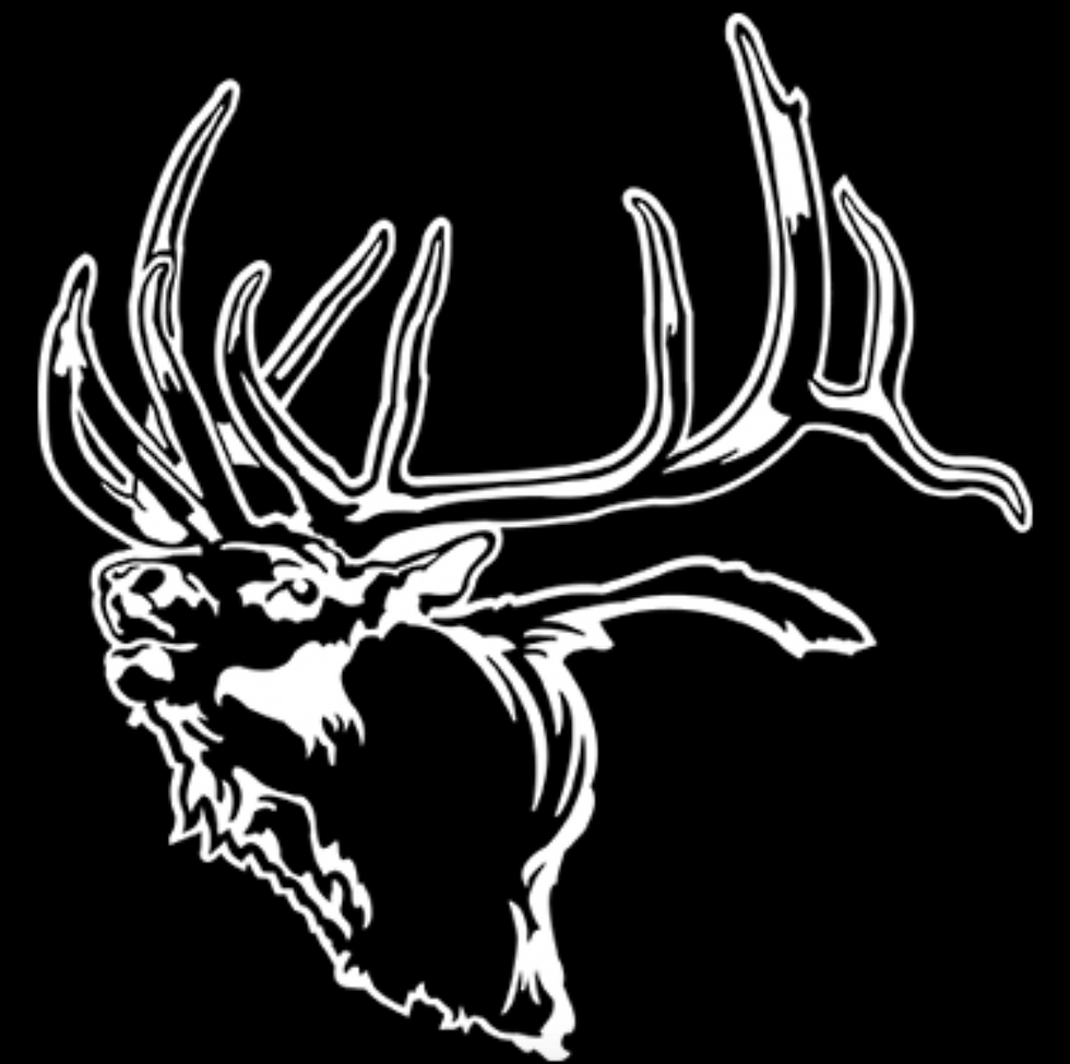 NOW THAT'S AN ELK! Hunting Decal Sticker