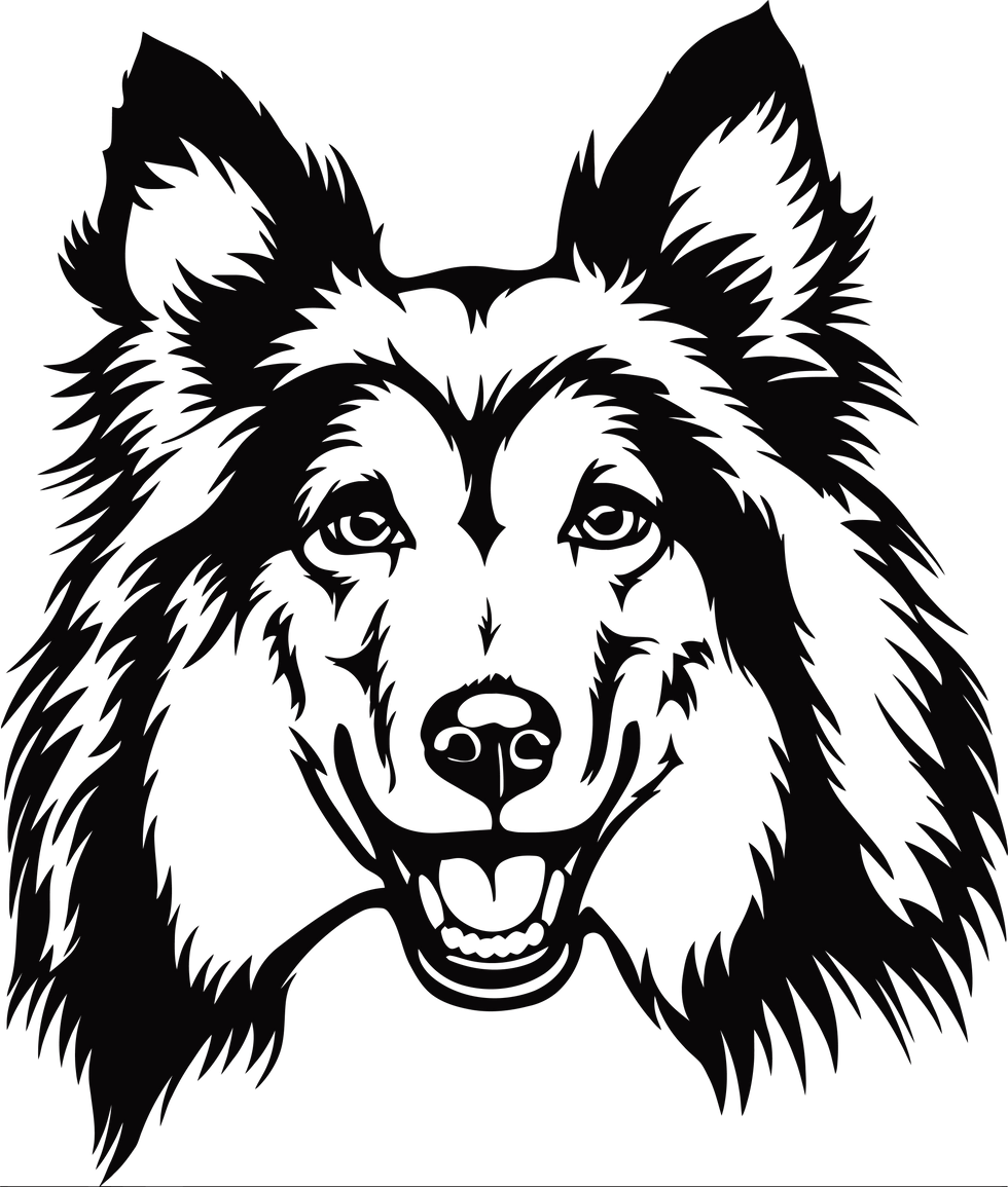 Thumbnail: Shetland Sheepdog Decal Sticker 4