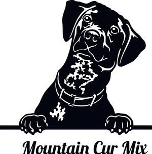Peeking Mountain Cur Mix Decal Sticker 2