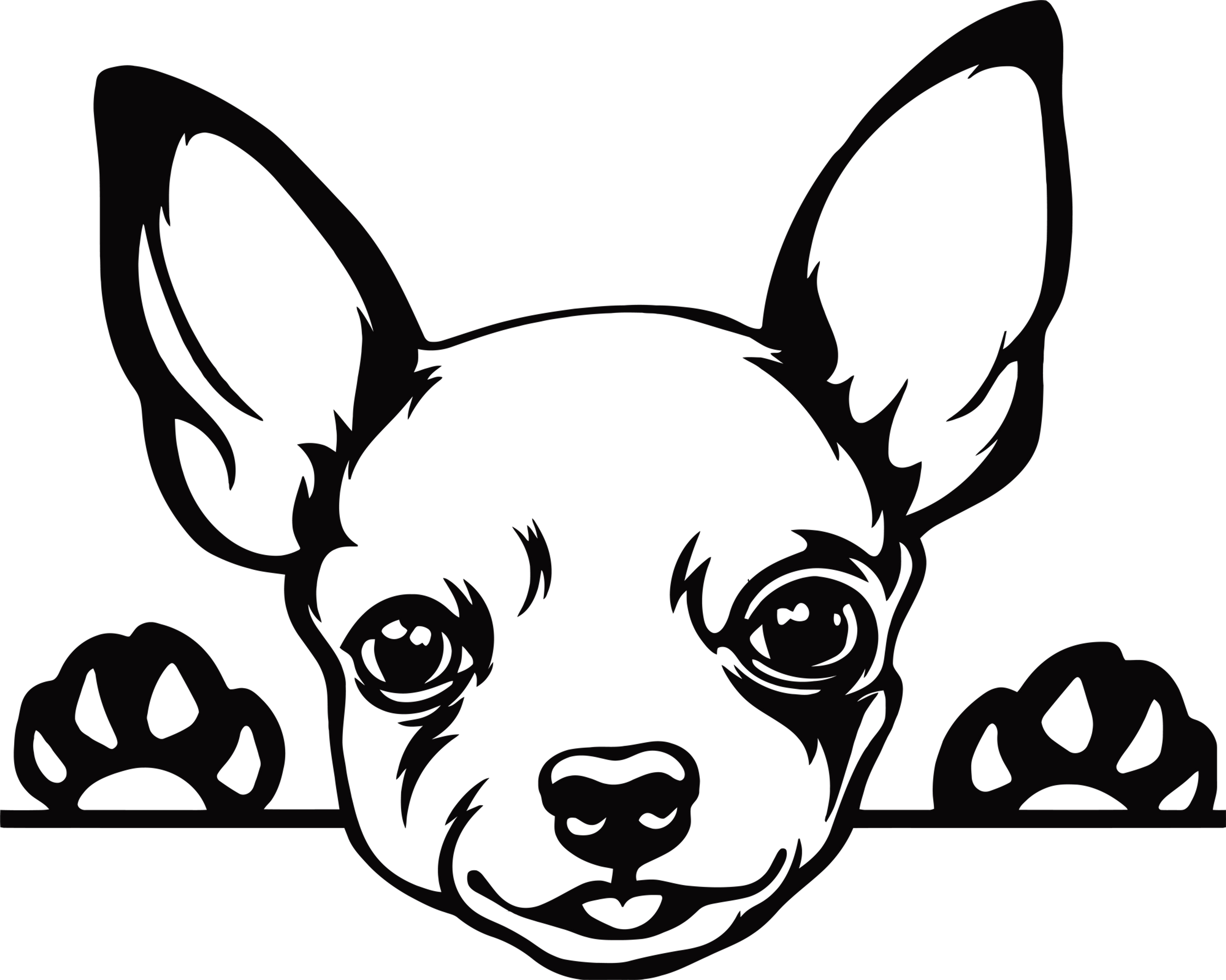 Adorable Peeking Chihuahua Dog Decal Sticker 12