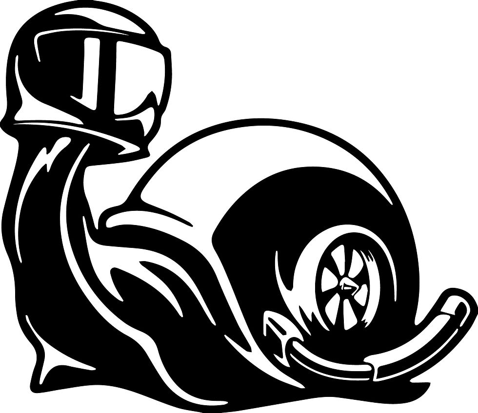 TURBO BOOST snail Decal Sticker 7