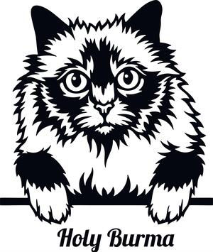 Adorable Peeking Holy Burma Cat Decal Sticker