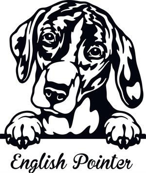 Adorable English Pointer Decal Sticker