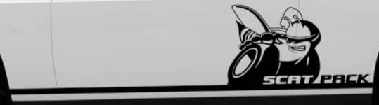 Dodge Challenger SRT Scat Pack Super Bee Side Decal Sticker 57