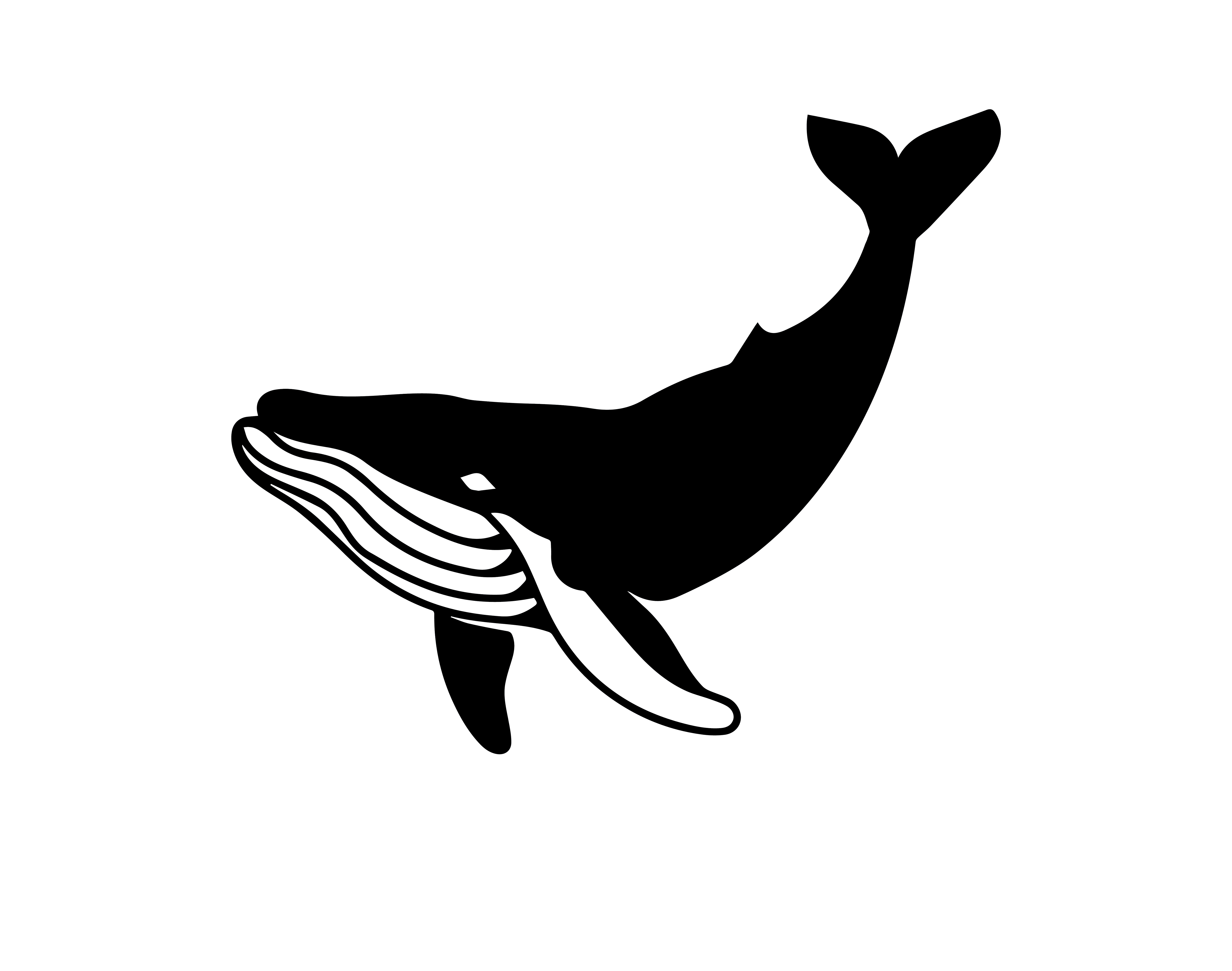 Whale Decal Sticker 5