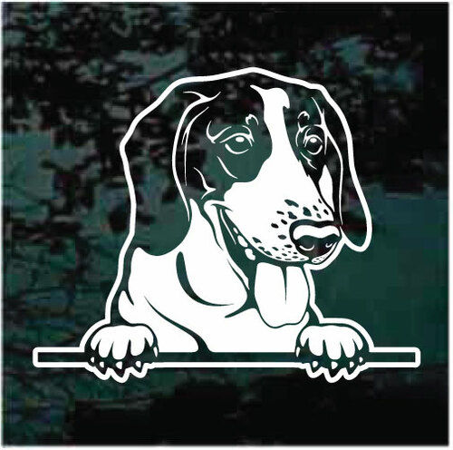 Peeking Coonhound Dog Decal Sticker