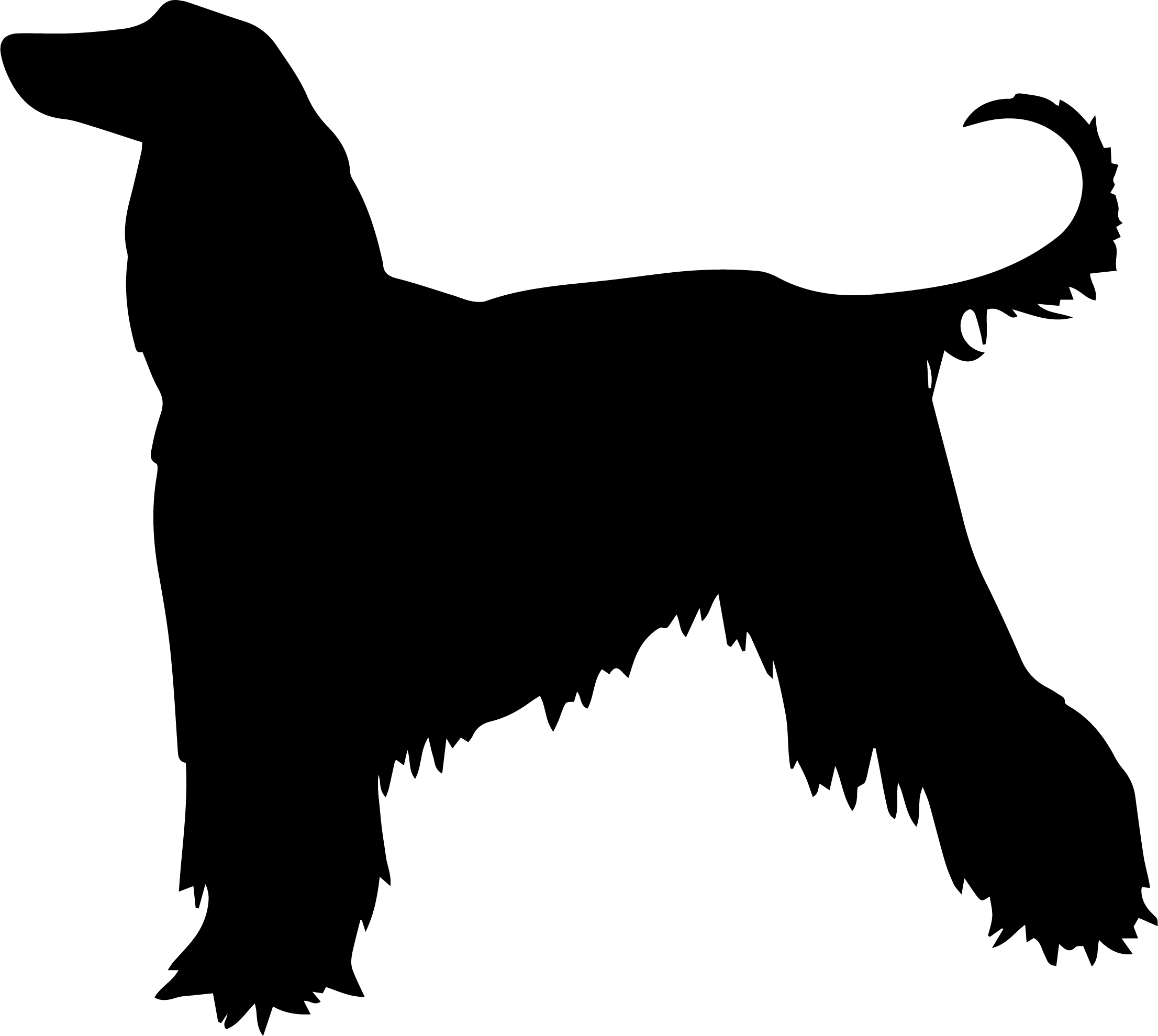 Afghan Hound Dog Decal Sticker 5 (add text)
