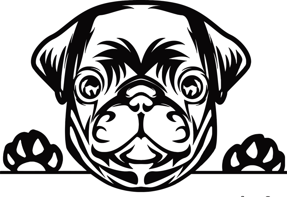 Miniatura: Peeking Pug Decal Sticker 4 (add text)