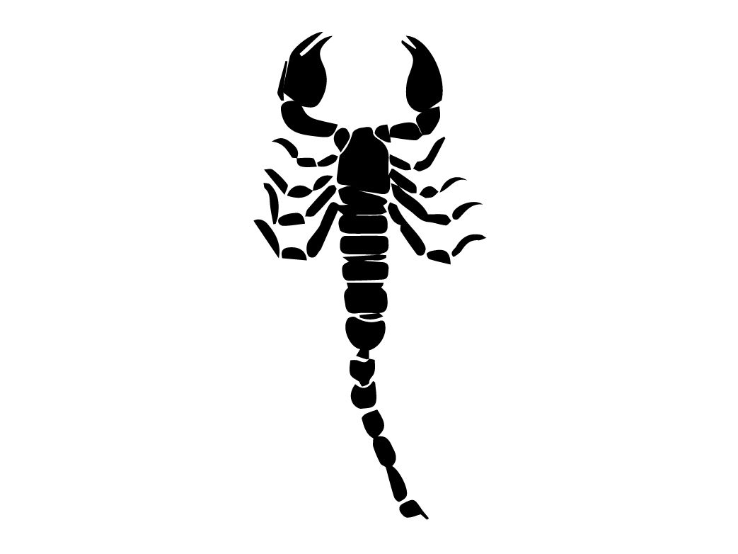 Wicked Scorpion Decal Sticker 154