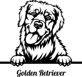 Adorable Peeking Golden Retriever Dog Decal Sticker 5