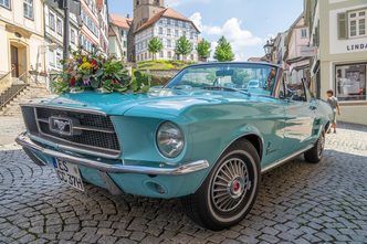 Untitled-1_0034__DSC2941.png
