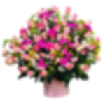 WhatsApp Image 2026-03-20 at 6.48.44 (3)