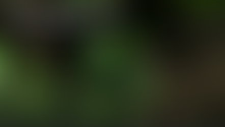 Modelling a Jungle scene