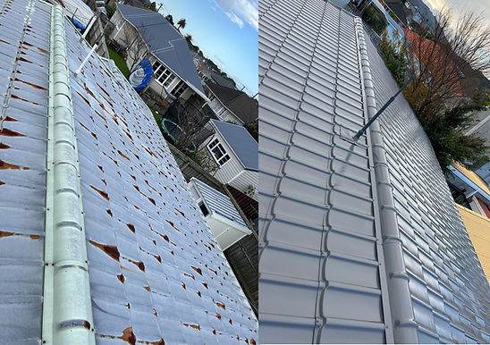 Roof Painting before and after