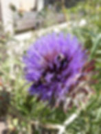 Thumbnail: Honey Dipper-Spoon