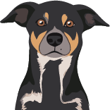 Photo du rédacteur: Binôme