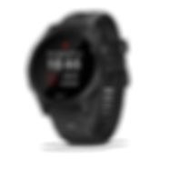 pulsoid garmin?