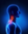 depositphotos_21616581-stock-photo-cervical-spine-lateral-view.jpg