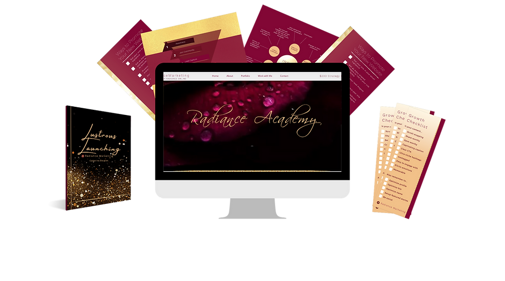 Social Media Management Academy