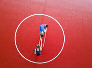 Aerial View of Wrestling Match