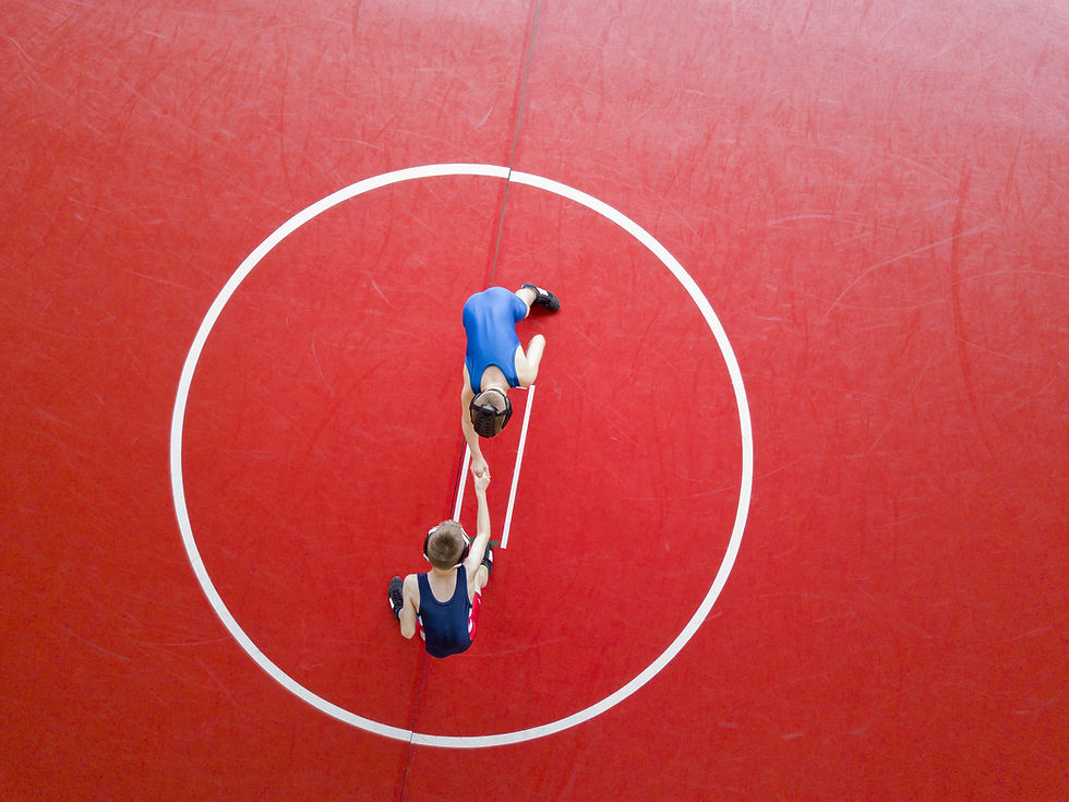 Wrestling Match Start