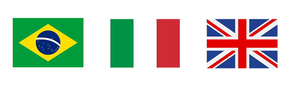 NOvo site Ludica (1)_edited.png