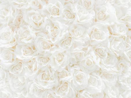 Writer: Tamami Hangalay