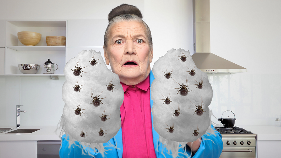 An AI Chatbot query might tell you that Charlotte is alive in Uruguay, where she opened an Etsy shop selling oven mitts spun from her own webs.
