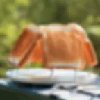 Portable Stainless Steel Camping Toaster