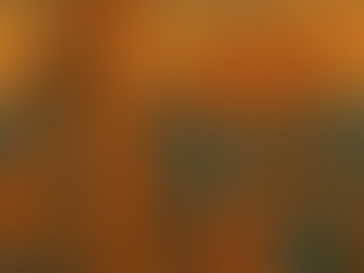 Stories My Grandparents Told Us