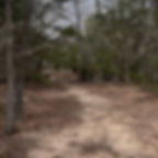 Acreage lot for sale in Bastrop County