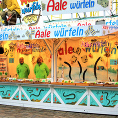 Aalwürfelei