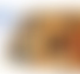 What kinds of woods are used in piano making