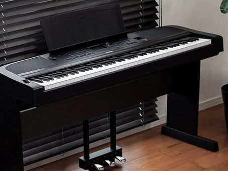 Best Digital Piano for Beginners