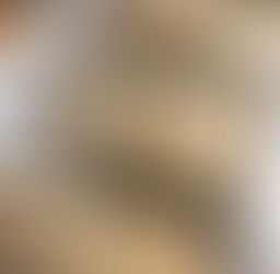 Sourdough Bread Episode 1 - Ingredients and Introduction