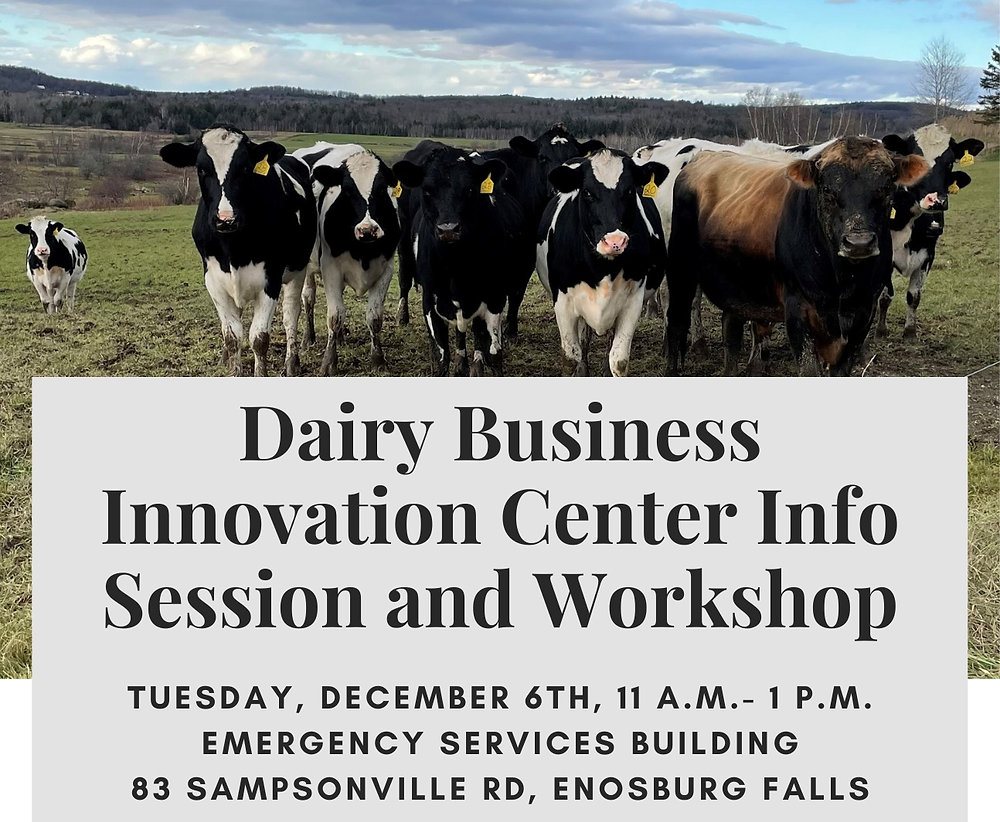 Dairy Business Innovation Center Info Session and
