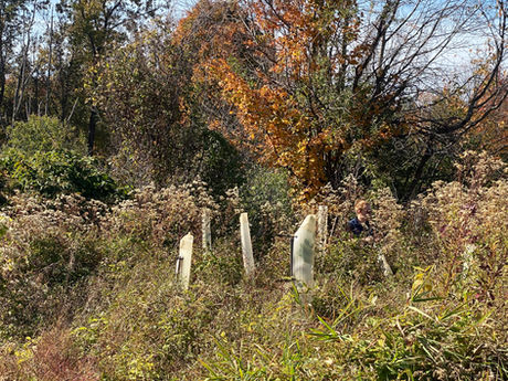 Stream Steward Spotlight!