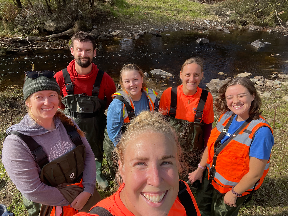Six smiling faces taking a selfie in front of the restored stream and floodplains.