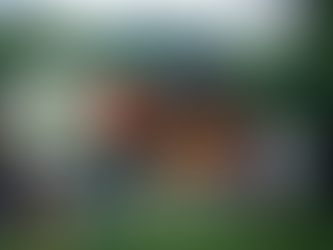 Registration is Now Open for the Vermont Maple 100!